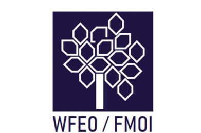 PHOTO-2021-09-09-12-46-12-e1631189220890-391×260